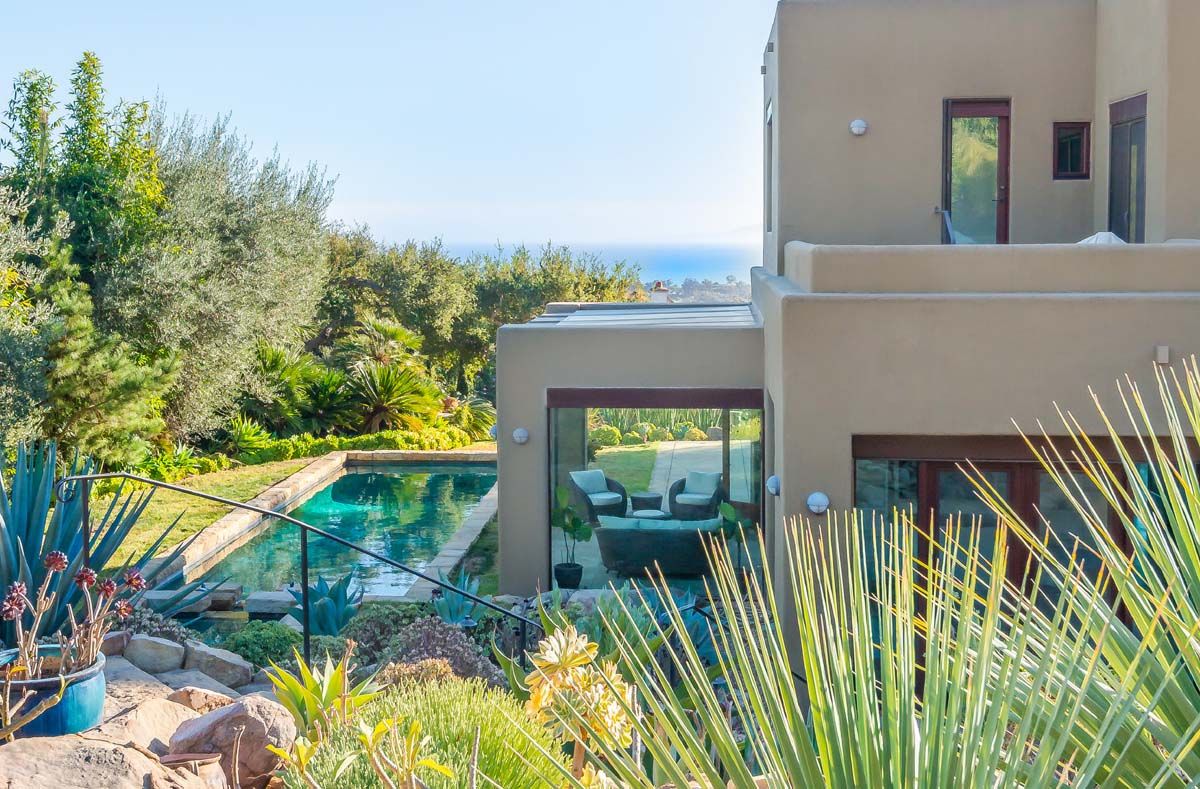 vegetation overlooking pool